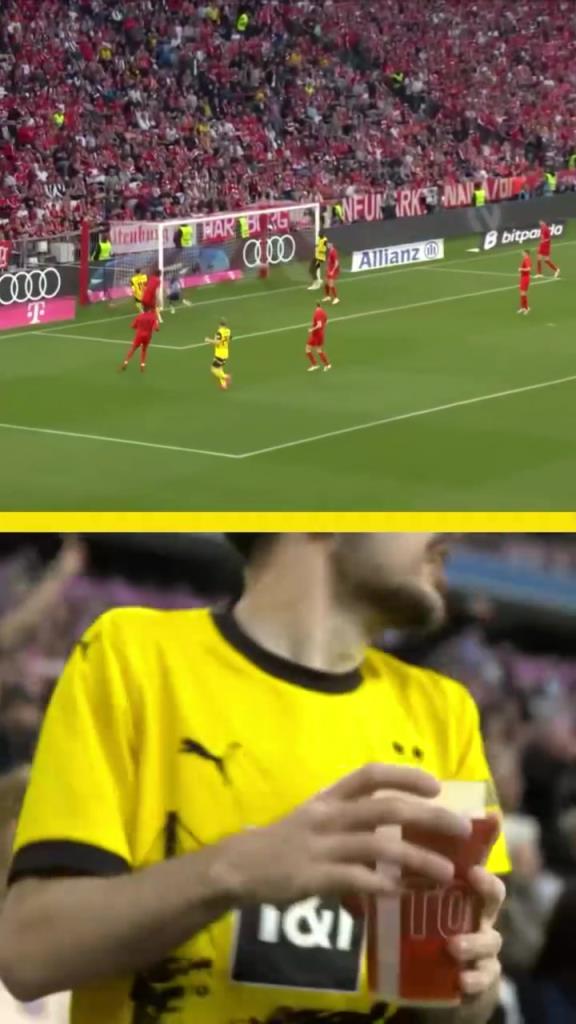 勇者無懼！這是真多特球迷！在拜仁球迷區一個人肆意慶祝！